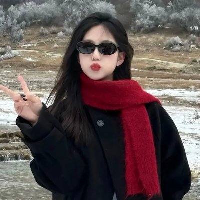 时代进行曲:在纳粹德国